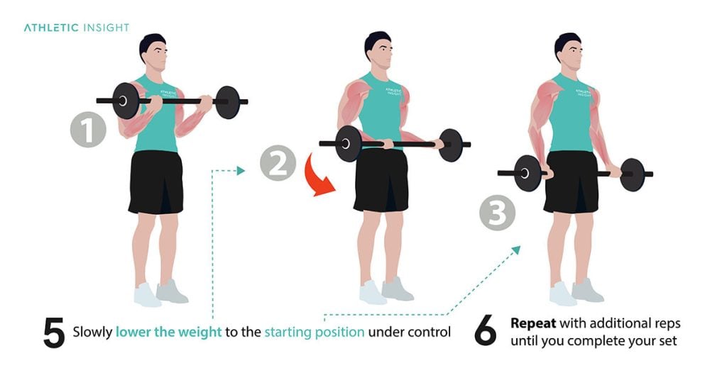 How to Do Barbell Curl Variations, Proper Form, Techniques, Barbell