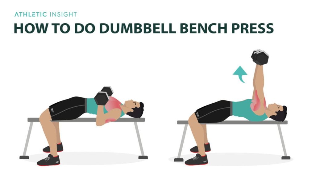 How To Do Dumbbell Bench Press Variations Proper Form Techniques