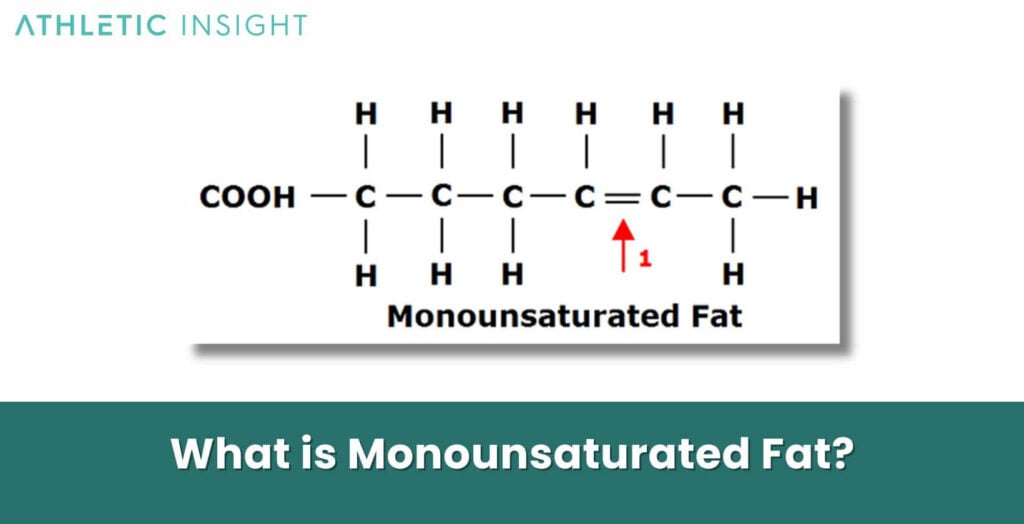 Monounsaturated Fat: Definition, Function, Sources, Benefits, and Risks ...