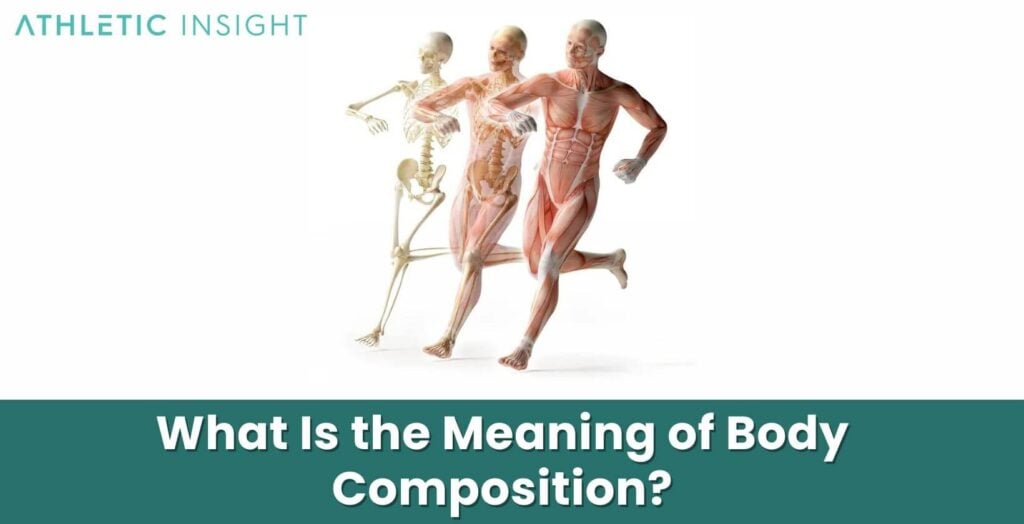 What Is Body Composition? Importance, and How to Measure Athletic Insight