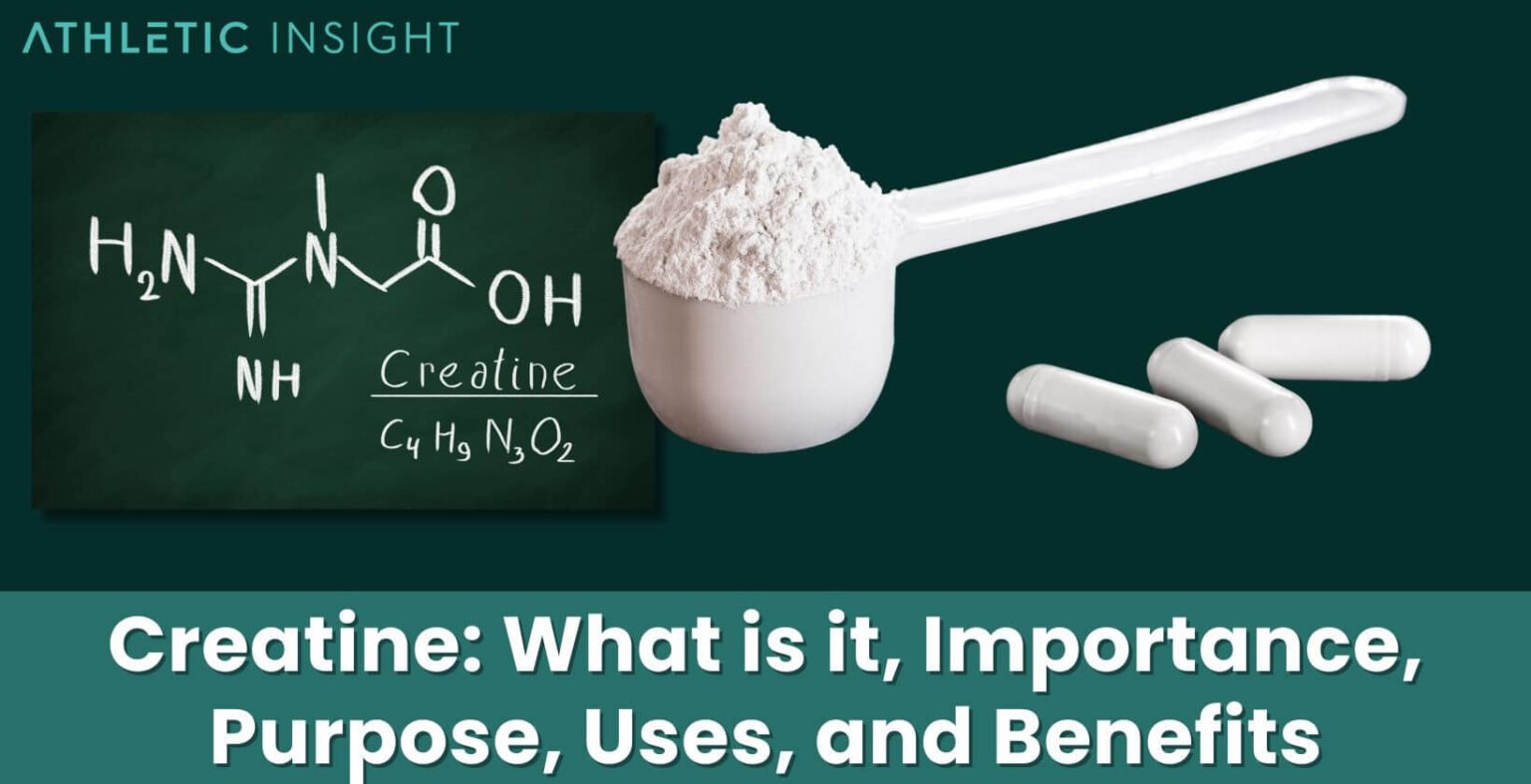 Creatine: What is it, Importance, Purpose, Uses, and Benefits ...